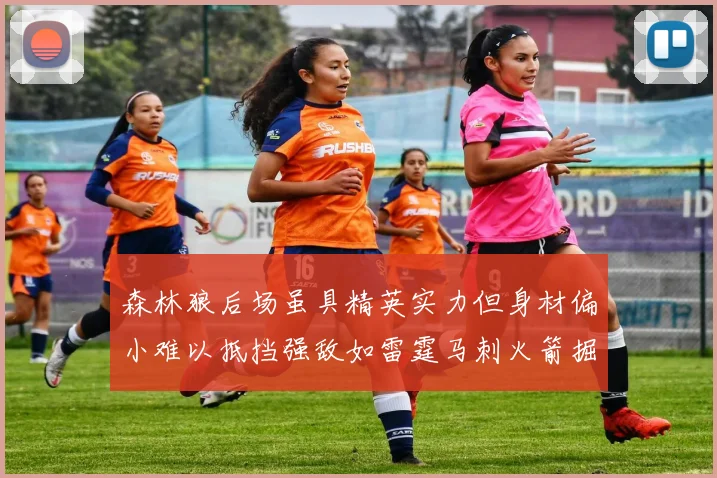 森林狼后场虽具精英实力但身材偏小难以抵挡强敌如雷霆马刺火箭掘金