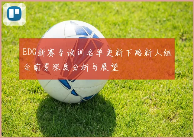 EDG新赛季试训名单更新下路新人组合前景深度分析与展望