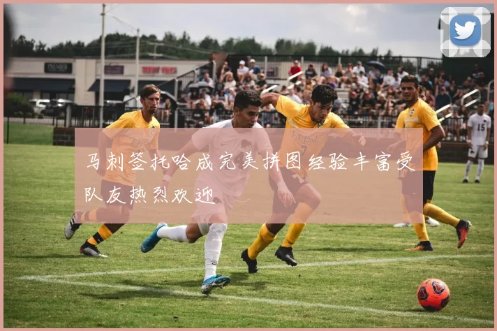 马刺签托哈成完美拼图经验丰富受队友热烈欢迎